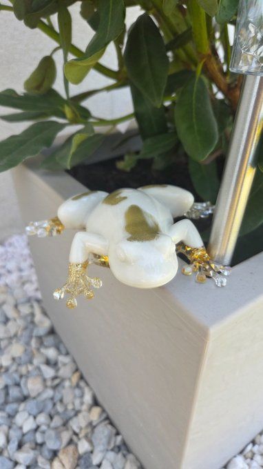 Grenouille en résine époxy