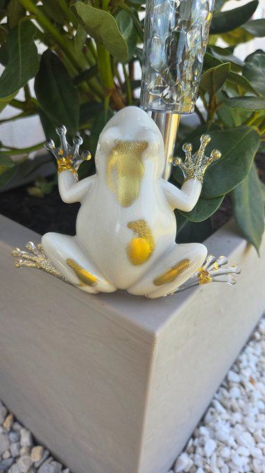 Grenouille en résine époxy