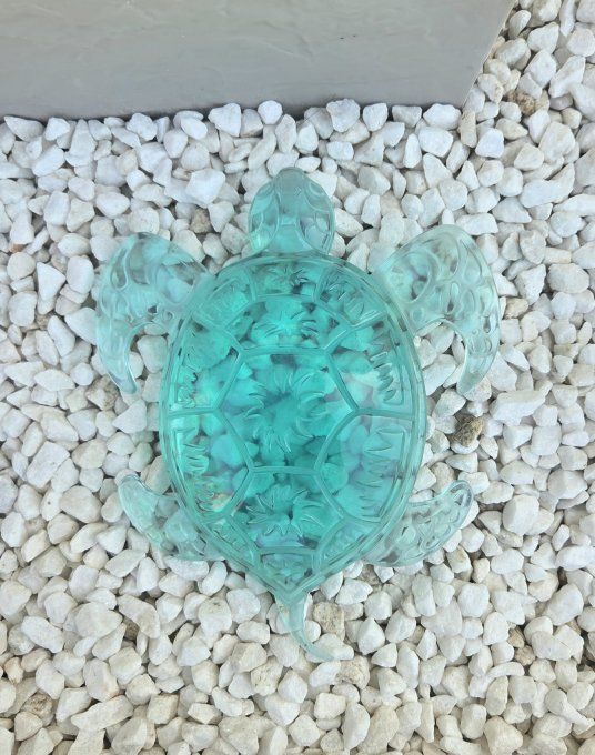 Décoration tortue