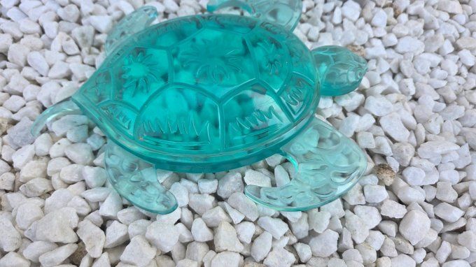 Décoration tortue