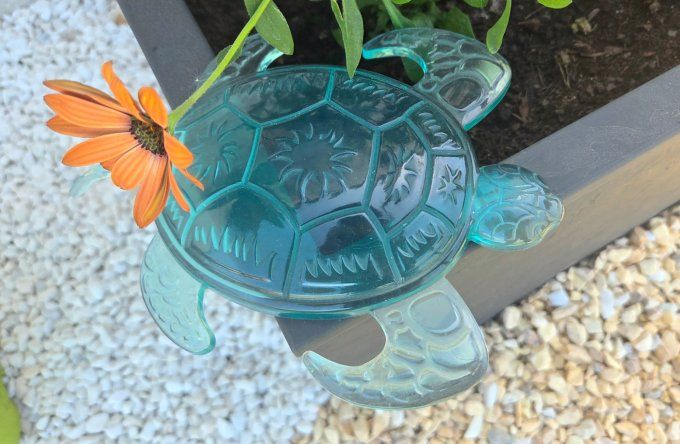 Décoration tortue