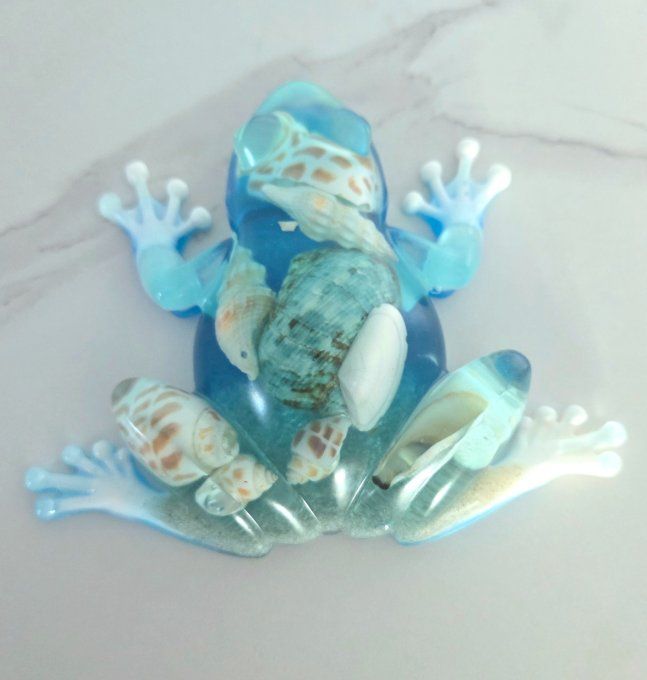 Grenouille porte bonheur coquillage et sable