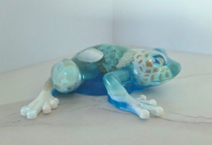 Grenouille porte bonheur coquillage et sable